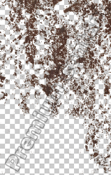 Alpha Masked Decals & Transparent Textures